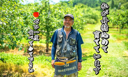 予約受付【品種おまかせ】りんご 約2kgセット A0170　