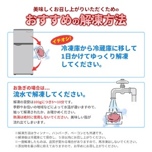 しゃぶしゃぶ【ふるなび限定】 四元豚肉 しゃぶしゃぶセット 750g FN-Limited-SP