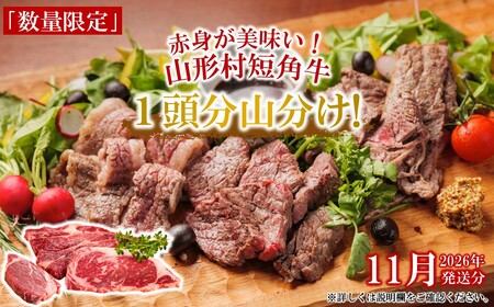 【山形村短角牛消費拡大応援企画品】山形村短角牛まるまる1頭山分けセット（11月発送分）