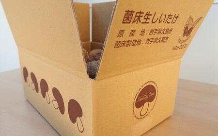 【準備が出来次第発送】しいたけ 菌床生しいたけ１kg