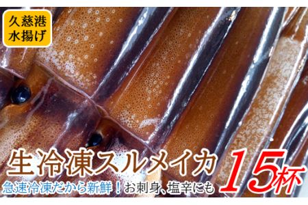 お刺身 いか焼き 炒めものに 三陸の生冷凍イカ15杯 岩手県久慈市 ふるさと納税サイト ふるなび