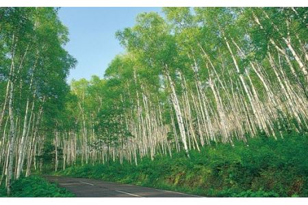 はちみつ 国産 平庭高原はちみつ とち アカシア 各200ｇ