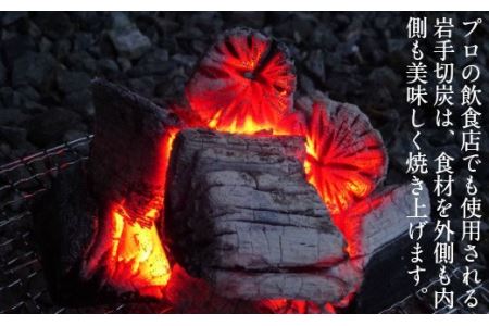 【BBQ焼き鳥セット】岩手県産鶏もも串(生冷凍)20本&岩手切炭(GI)3kg