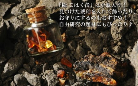 【自宅で琥珀の採掘体験！？】「琥珀缶詰」採掘体験缶セット