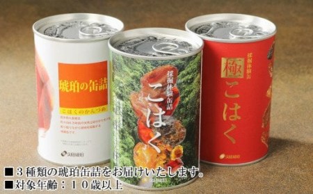 【自宅で琥珀の採掘体験！？】「琥珀缶詰」採掘体験缶セット