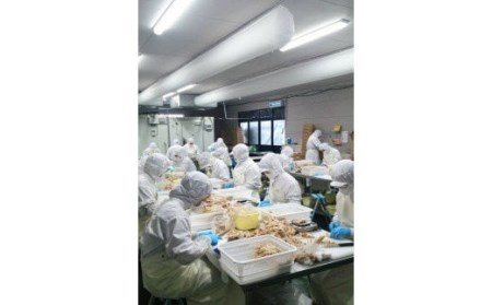 焼き鳥 鶏もも串 30g×20本×10箱 焼き鳥