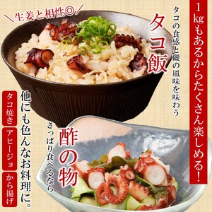 【新鮮なたこを塩茹で！シンプルだから美味しい！】久慈産茹でタコ1㎏