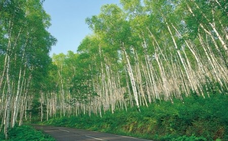 「国産 純粋 非加熱」平庭高原はちみつ とち・アカシア２本セット（各500ｇ）