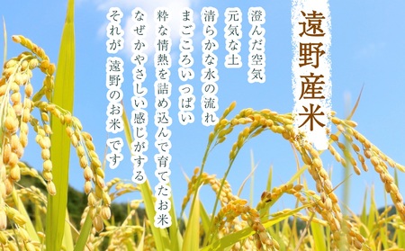【 定期便 3回 】 令和7年産 新米 銀河のしずく 10kg 遠野産 米【 五つ星 お米マイスター 厳選 】【 コメマルシェ 河判 】