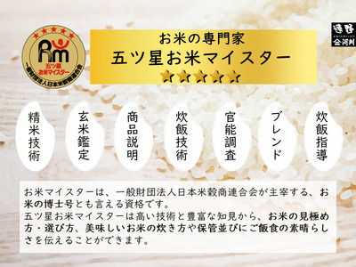 【 定期便 3回 】 令和7年産 新米 銀河のしずく 5kg  遠野産 米【 五つ星 お米マイスター 厳選 】【 コメマルシェ 河判 】 