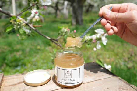 遠野のりんご ギフト セット 松陽園