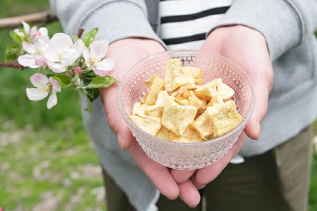 遠野のりんご ギフト セット 松陽園
