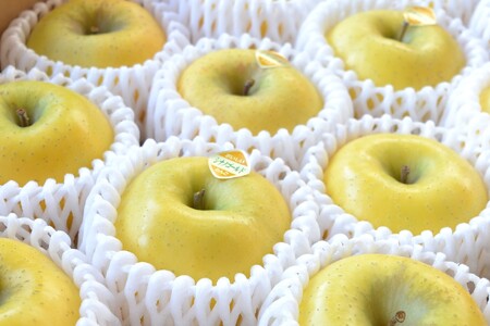 りんご シナノゴールド 5kg 松陽園 樹上 完熟 岩手県 遠野市 農家直送 お歳暮 東北 リンゴ