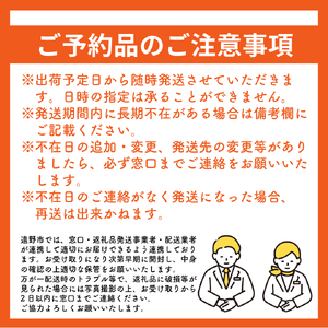 【先行予約｜2026年10月中旬頃から順次発送】 りんご シナノスイート 3kg 松陽園 岩手県 遠野市 樹上完熟 農家直送 ご贈答 シナノスウィート