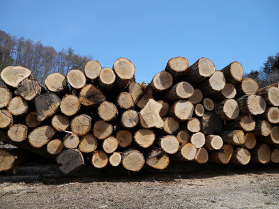 薪 / まき ( 広葉樹 遠野の 楢 ナラ の木 ）約 100kg ( 20kg × 5ケース)【東北・関東信越 地域限定発送】