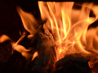 薪 / まき ( 広葉樹 遠野の 楢 ナラ の木 ）約 100kg ( 20kg × 5ケース)【東北・関東信越 地域限定発送】