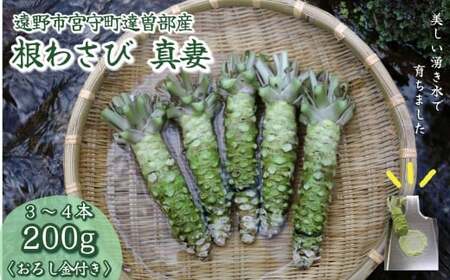 根わさび 真妻 200g (3~4 本) 山葵用おろし金付【葵食品】 生産者直送 生 新鮮 岩手県 遠野市 特産 /刺身 お肉 ステーキ 薬味 わさび丼