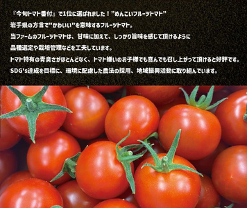 フルーツトマト 【めんこいトマト】 約1kg 2026年1月から順次発送