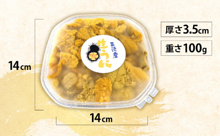 【先行予約 / 個数限定】 生うに 100g ( 塩水パック ) 獲れたその日に出荷！ 【 ムラサキウニ 無添加 天然 濃厚 ミョウバン不使用 おためし 数量限定 三陸産 】2025年5月下旬頃から順次発送予定 RT2424-R7