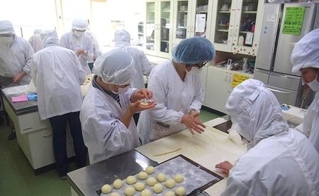 【思いやり型返礼品】あすなろホーム特製チーズケーキ 2種食べ比べ セット 北限のゆずフロマージュ みそチーズケーキ 【 スイーツ ケーキ 手作り 食べ比べ 岩手 陸前高田 】RT539