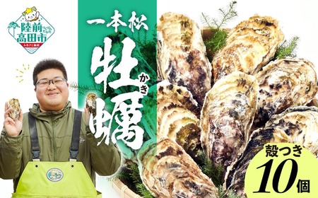 先行予約 『一本松牡蠣』 生食用 殻付き牡蠣 10個 セット 【 天然 牡蠣 かき 殻付き 生食 大粒 人気 国産 陸前高田 三陸産 広田湾産 気仙町 】2024年12月頃から発送予定 RT2376