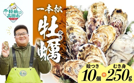 『殻付き牡蠣 (生食用) 10個 & むき身牡蠣 (加熱用) 250g セット』 一本松牡蠣