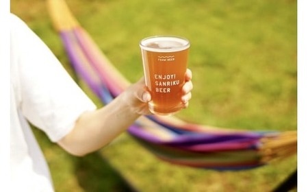 クラフトビール 【おすすめ2種】 350ml×12本 飲み比べセット 地ビール 缶ビール クラフトビール