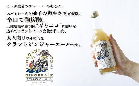 【炭酸飲料】 ガガニコジンジャーエール 24本セット (250ml×24本)【 炭酸 飲料 ドリンク 飲み物 ノンアルコール ジンジャー 北限のゆず ゆず 生姜 ショウガ しょうが 】RT1957