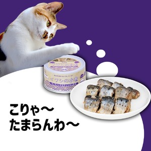 お試し用 ワンちゃん ネコちゃん 安心素材 缶詰 3種 セット 【 無添加 無着色 国産 ペット用品 ペットフード 犬 猫ドッグフード キャットフード 】ペットも飼い主も食べられる缶詰RT1569