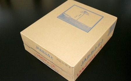 【便利な小分け】 ストレート果汁りんごジュース 195ml×30本 大容量 りんごジュース