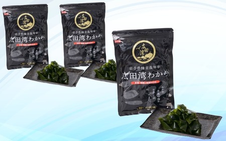 広田湾漁協からお届け！広田湾わかめ (塩蔵わかめ) 300g×3袋RT2051