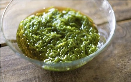 海のスーパーフード あかもく&めかぶ 各6パックセット タレ付き 【 小分け 朝食 海藻 ご飯のお供 】 広田湾漁協からお届け RT1029