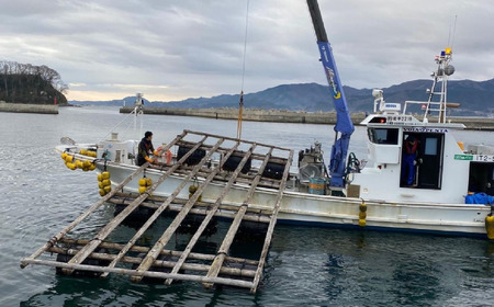 薪 乾燥薪 3kg 気仙杉 アウトドア キャンプ 焚き火