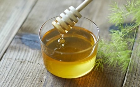 気仙養蜂の国産純粋蜂蜜〈アカシア〉600g ペットボトル入り 【 はちみつ ギフト 料理 飲料 岩手県 陸前高田市 】RT2328