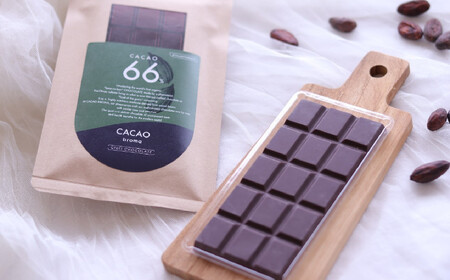 カカオ66％チョコレート 【薬剤師監修】 オーガニック チョコレート