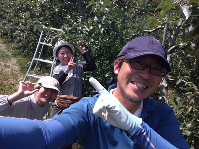 【訳あり品】傷だらけの勇者たち サンふじ 10kg 【 りんご 旬 お届け 岩手 陸前高田 】 RT2063