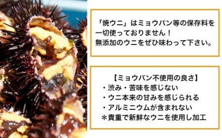 広田湾漁協からお届け！焼きウニ塩ウニの食べ比べセット【ミョウバン不使用】