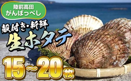 【予約受付】広田湾漁協からお届け！殻付き新鮮ホタテ(15～20枚)【期日指定不可】(2023年12月頃～発送予定)RT940