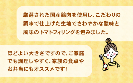 フレッシュ！ トマト包みメンチカツ 60g×100個 小さめサイズ お弁当にもおすすめ 【 サクサク お惣菜 トマト メンチカツ 国産 鶏肉 使用 人気 おすすめ 大容量 】 RT2494