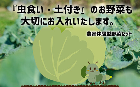 【定期便6ヶ月】訳あり 野菜セット 約3～4種類 農家のおすそわけ 【 おためし 野菜 詰め合わせ 産地直送 旬 新鮮 】RT1891