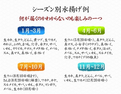 【3ヶ月定期便/下処理済】お試し 三陸海の恵み 詰め合わせ (1回あたりのお届け目安：1～2人用)【 鮮魚セット 鮮魚 三陸産 海鮮 新鮮 お刺身 産地直送 おさかな お魚 旬 人気 お手軽 】RT2579-下処理する