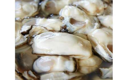 むき身牡蠣 Mサイズ 300g おためし 冷蔵 加熱用 牡蠣