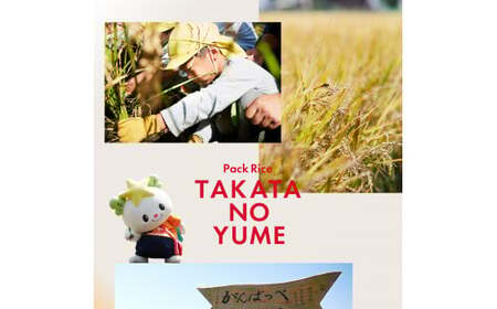 パックごはん 150g×6個 陸前高田市【たかたのゆめ】 備蓄 防災 ライス ごはん