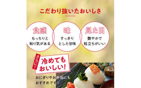 パックごはん 150g×6個 陸前高田市【たかたのゆめ】 備蓄 防災 ライス ごはん