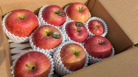 ☆当園人気No.1☆ りんごの王様 家庭用「サンふじ」約3kg りんご