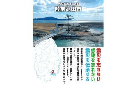 【返礼品なし】 岩手県陸前高田市への応援寄附金 1口 1,000円