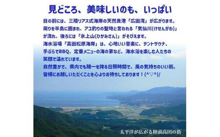 【返礼品なし】 岩手県陸前高田市への応援寄附金 1口 10,000円