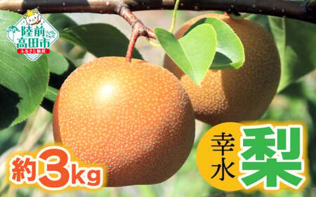 【先行予約】 梨 幸水 約3kg 数量限定 熊谷農園 フルーツ 果物 幸水 7,020円