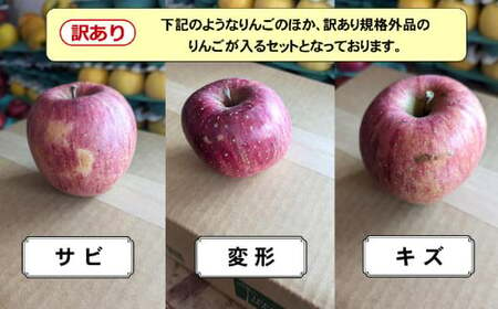 【訳あり / 家庭用】 米崎りんご 品種：ふじ 約5kg 【 りんご 林檎 旬 フルーツ 産地直送 個数限定 数量限定 】 RT2684 