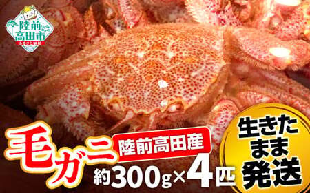 【毛ガニ 約300g×4匹】 陸前高田産 毛ガニ 生きたまま発送！ 【 かに カニ 魚介類 旬 鮮度抜群 産地直送 三陸産 】RT2659